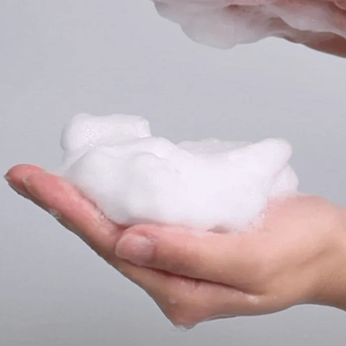 [SIDMOOL] LHA Irregularities Care Foam Cleansing 250ml