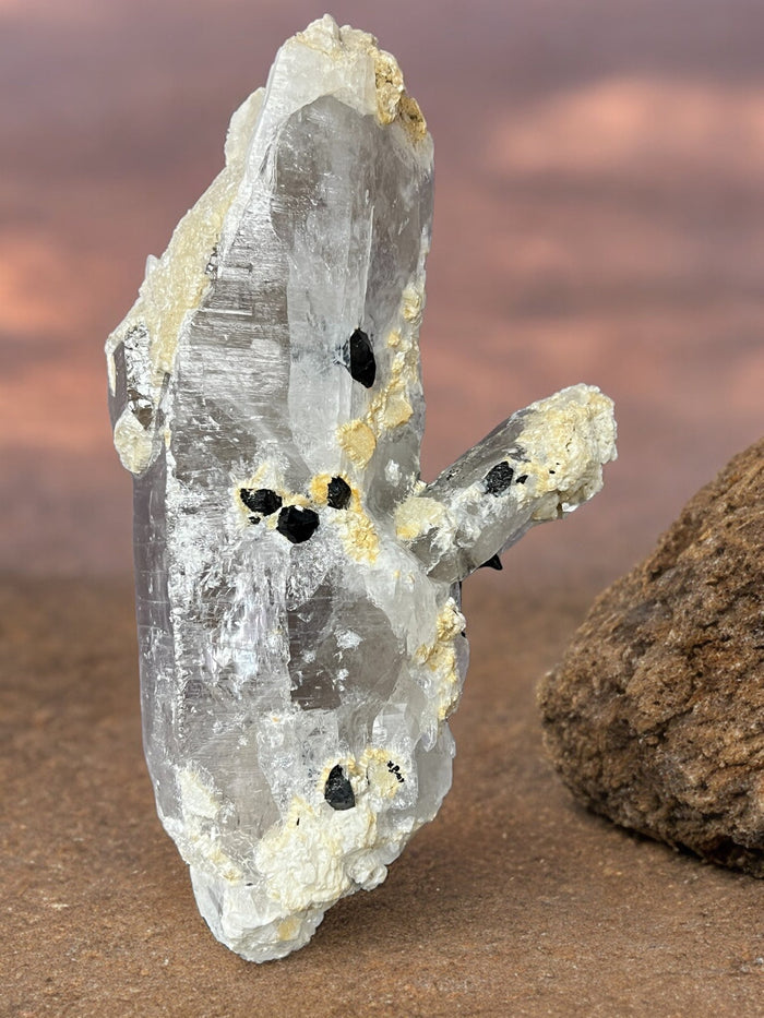 Smoky Quartz Lemurian Point with Schorl (Black Tourmaline) Crystals - 691 grams - Raven's Cauldron