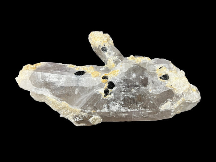 Smoky Quartz Lemurian Point with Schorl (Black Tourmaline) Crystals - 691 grams - Raven's Cauldron