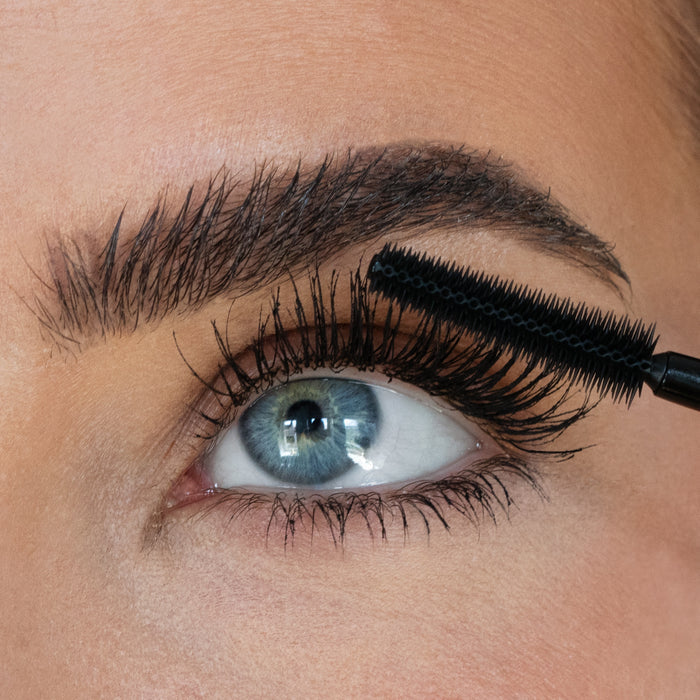 The Ultimate Lash Kit