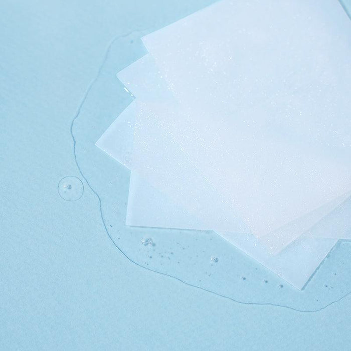 [UIQ] Biome Remedy Pore Reset Cooling Pad 180ml 80EA - Ballagrio