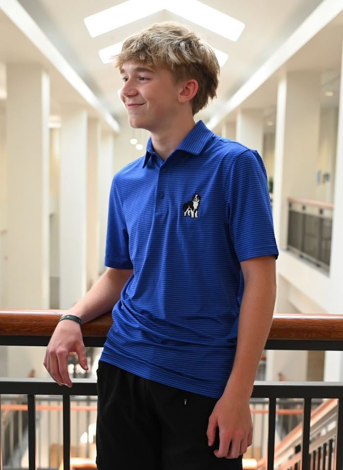 Under Armor Aura Striped Polo