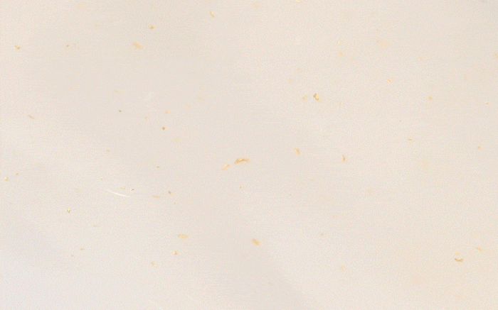 [VT Cosmetics] Black Truffle Reedle Shot 100 50ml - Ballagrio