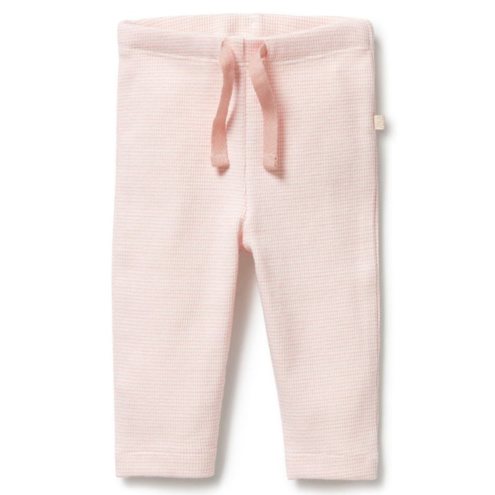 Wilson & Frenchy Organic Stripe Rib Legging - Cantaloupe
