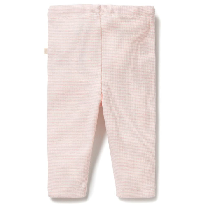 Wilson & Frenchy Organic Stripe Rib Legging - Cantaloupe